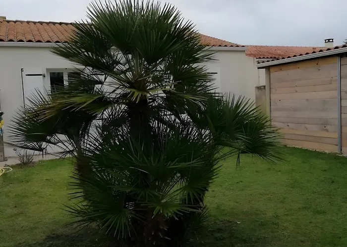 L'escapade - Ile D'oléron * Saint-Georges-d'Oleron